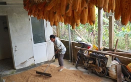 Gạo cứu trợ chưa kịp ăn đã trộn bùn lũ, người dân nhặt lại những gì còn sót