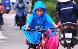 Bộ Giáo dục và Đào tạo cấp miễn phí toàn bộ sách giáo khoa cho học sinh vùng lũ