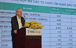 Bầu Đức nói HAGL đang có 'bức tranh tài sản đẹp như mơ', sắp IPO công ty nông nghiệp ở Lào