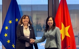 EU hỗ trợ 850.000 euro cho Việt Nam khắc phục hậu quả bão lũ