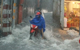 TP.HCM ứng phó khẩn cấp áp thấp nhiệt đới có thể thành bão số 15, yêu cầu không xả lũ khi mưa lớn