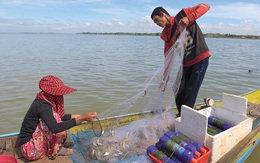 Nghiên cứu phát hiện tác nhân đang ‘đầu độc’ các dòng sông ở Đông Nam Á