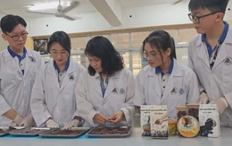 Cuộc thi Lan tỏa năng lượng tích cực 2025: Sáng tạo góp phần nâng cao giá trị nông sản Việt