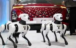 Ngắm loạt công nghệ tiên tiến, hiện đại bậc nhất tại phố đi bộ Nguyễn Huệ