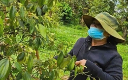 5 hiệp hội ngành hàng tỉ đô kiến nghị Quốc hội gỡ khó vụ thuế giá trị gia tăng