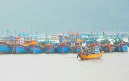 Mưa lũ miền Trung