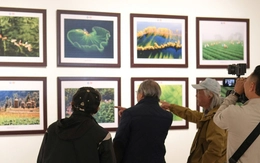 Vẻ đẹp Việt Nam và Indonesia qua nhiếp ảnh