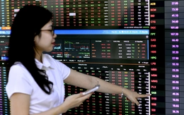 'Tân binh' tỉ USD ngành chứng khoán chào sàn lúc thị trường ảm đạm, bom tấn hay điều gì chờ đợi?