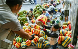 Ký nghị định thư xuất khẩu mít tươi sang Trung Quốc