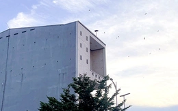 Nhà nuôi chim yến mở loa từ sáng đến đêm suốt 16 năm qua, phải làm sao?