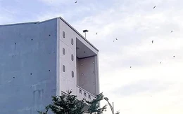 Hết loa kẹo kéo karaoke tra tấn, giờ 'dính' thêm loa gọi chim yến