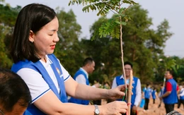 500 đại biểu Mặt trận Tổ quốc Việt Nam TP.HCM trồng cây xanh