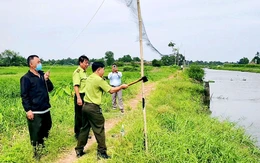 Tháo gỡ 240m lưới giăng bẫy chim ở xã Đông Thạnh, TP.HCM