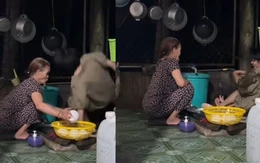 Cháu gái quay Vlog giúp bà rửa chén và cái kết