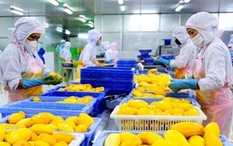 Đồng Tháp bứt phá trong bức tranh phát triển mới