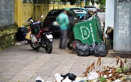 Sẽ thu gom rác và lắp đặt camera giám sát quanh vỉa hè Viện Pasteur TP.HCM