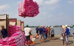 Kỳ họp thứ 10 Quốc hội khóa XV