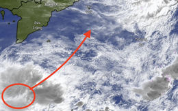 TP.HCM thông báo khẩn tàu thuyền trú tránh trước áp thấp nhiệt đới