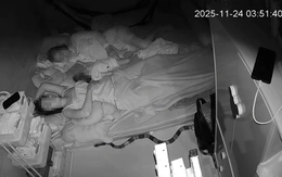 Làm gì khi rắn độc bò vào nhà dân ở ngay TP.HCM?