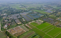 Bảng giá đất nông nghiệp TP.HCM dự kiến tăng, kéo giảm chênh lệch khi chuyển sang đất ở