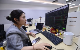 Loạt cổ phiếu chứng khoán, bất động sản 'nằm sàn'