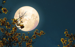 Việt Nam sắp đón siêu trăng Hải Ly - trăng tròn, sáng và lớn nhất năm 2025