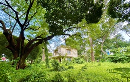 Mở rộng đường Trần Bình Trọng qua khu đất số 1 Lý Thái Tổ