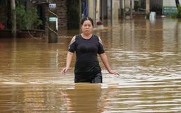 Đà Nẵng yêu cầu làm tốt phương châm ‘4 tại chỗ’ chống bão Kalmaegi