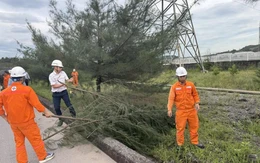 Công ty Nhiệt điện Mông Dương chủ động ứng phó thời tiết bất thường