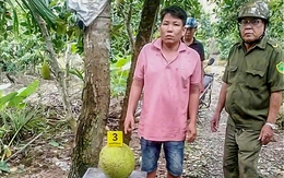 Vì sao trộm 2 trái mít lại bị khởi tố?