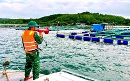 Đắk Lắk cấm hoạt động trên biển