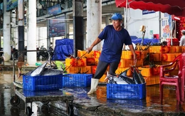 Sơ tán dân vùng sạt lở ở Nha Trang trước bão Kalmaegi