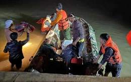 Đi thả lưới bị lật thuyền, một người chết