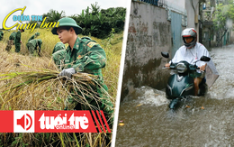 Điểm tin 18h: Cảnh báo triều cường 1,9m tại TP.HCM; Bộ đội biên phòng gặt lúa giúp dân 'chạy bão'