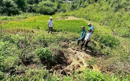 Xuất hiện nhiều vết nứt trên đồi ở Quảng Ngãi, sẵn sàng di dời hàng trăm hộ dân tránh bão