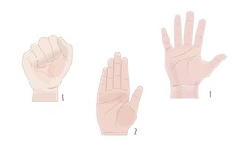 Quiz: Cách giơ tay phát biểu tiết lộ bạn là người thế nào