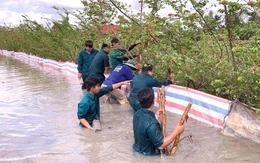 Đồng bằng sông Cửu Long vào đợt triều cường mới cao hơn mức báo động 3 40cm