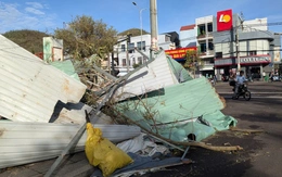 Thiệt hại do bão Kalmaegi gây ra ở Gia Lai lên đến 5.000 tỉ đồng