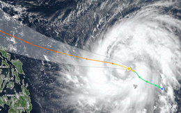 Bay đi giùm chim ơi!