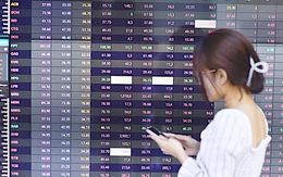 VN-Index mất mốc 1.600 điểm sau 2 tháng