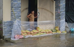 Người dân dọc sông Tiền chật vật ứng phó triều cường