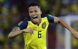 Malaysia sẽ không bị xử thua Việt Nam vì tiền lệ Ecuador?