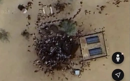 Ảnh từ Google Earth không cho thấy hàng chục người chết nằm trong vũng máu ở Sudan