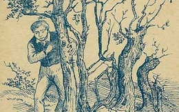 Mắt 10/10 mới thấy 2 khuôn mặt ẩn giấu trong tranh