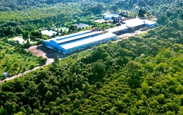 Phú Quốc hướng tới APEC với du lịch xanh và đô thị bền vững