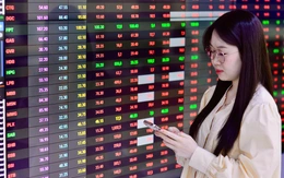 Dòng tiền trên thị trường chứng khoán đang 'nguội' nhanh, vì sao?