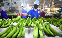 Hướng tới tương lai xanh, thịnh vượng