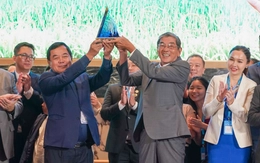 Gạo ST25 tiếp tục đạt giải nhất cuộc thi Gạo ngon nhất thế giới năm 2025