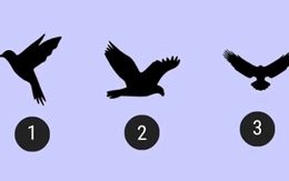 Quiz: Bạn là người hướng nội hay hướng ngoại?