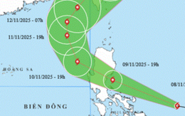 Điểm bất thường khiến bão Phượng Hoàng ít khả năng ảnh hưởng đến Việt Nam